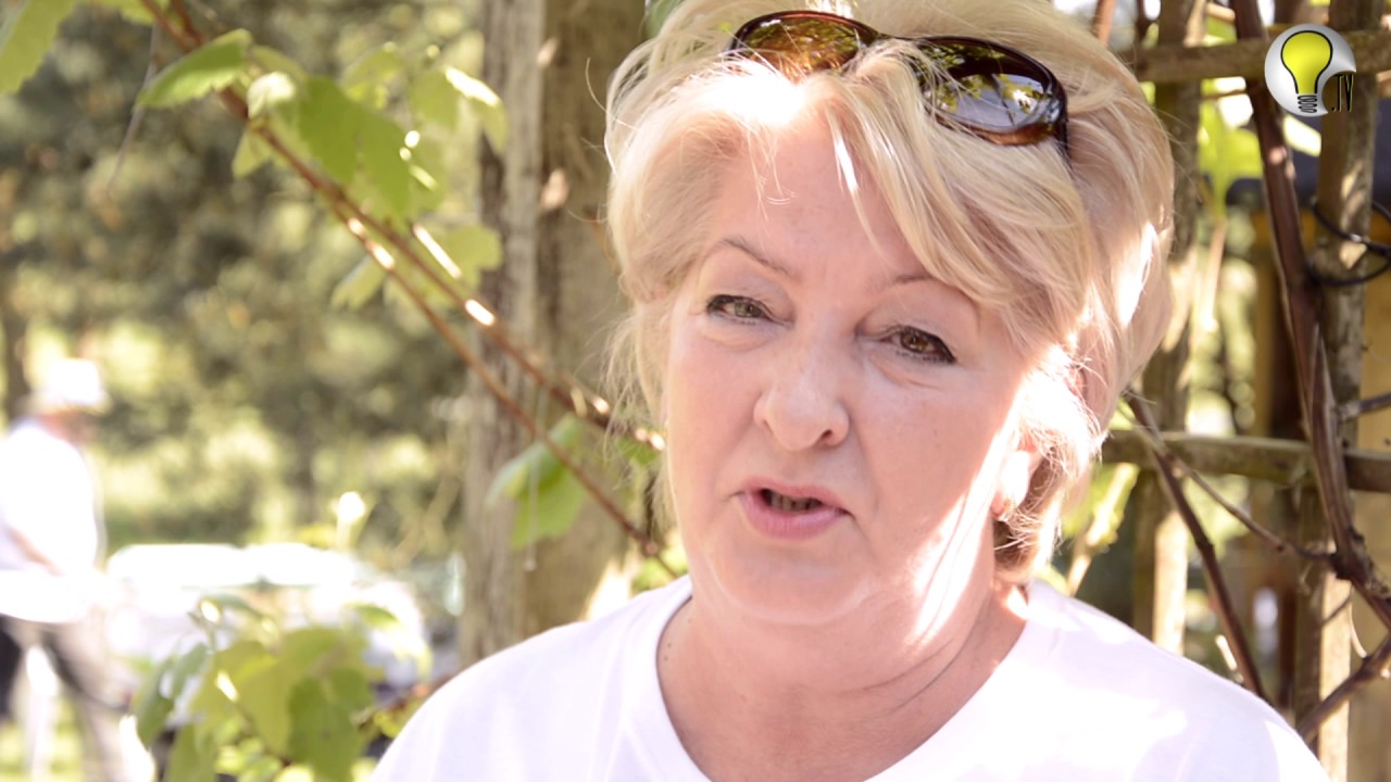 BO JAK NIE MY, TO KTO!