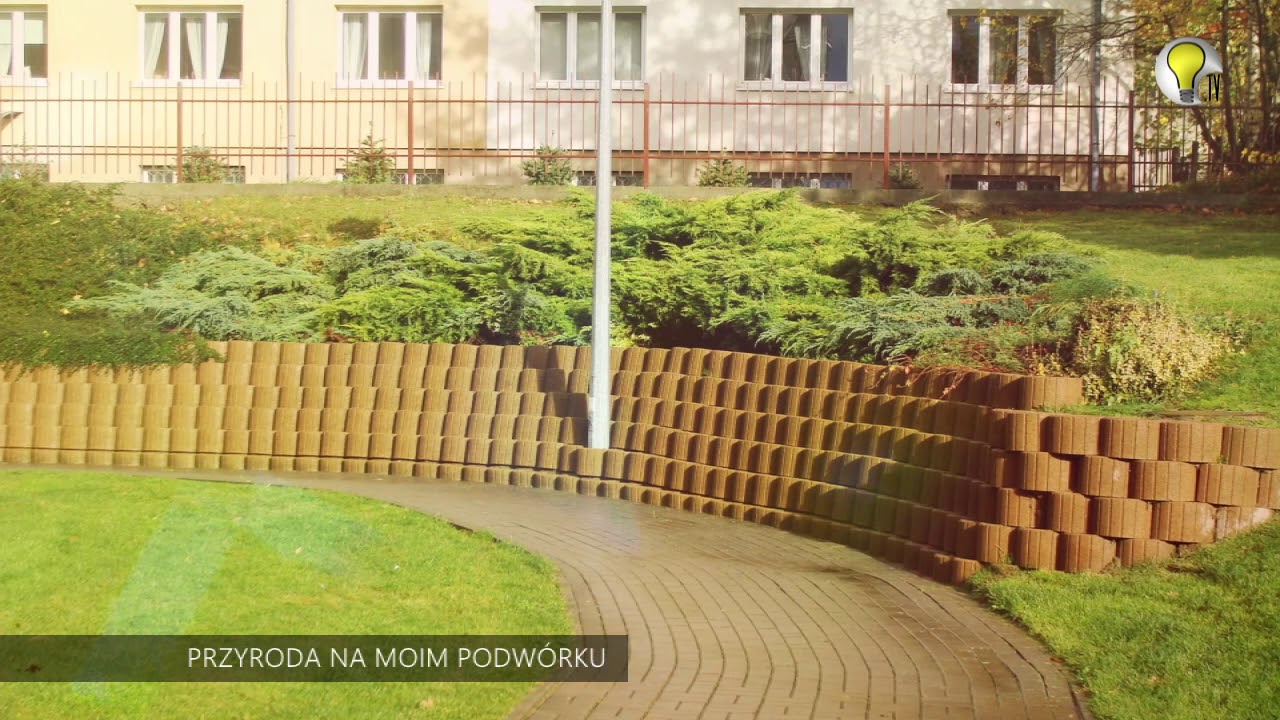 TRZYMAJ STRONĘ PRZYRODY ODC. PRZYRODA NA MOIM PODWÓRKU