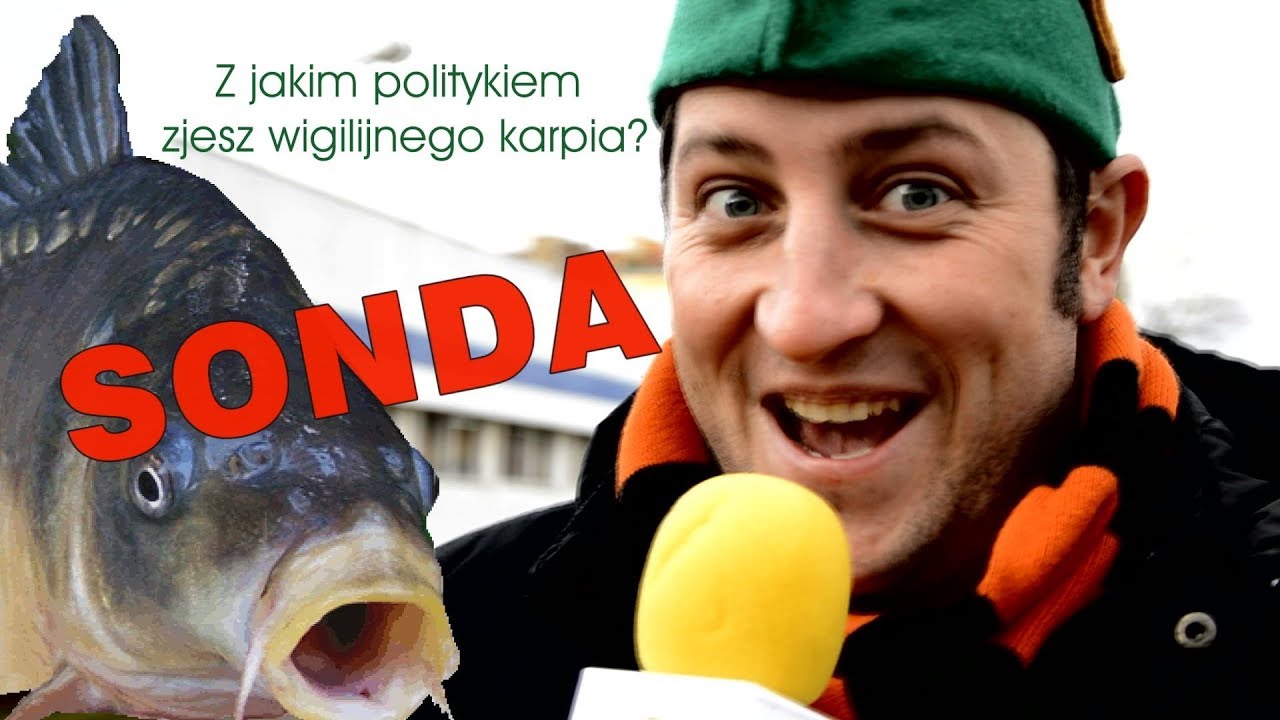 Z JAKIM POLITYKIEM ZJESZ WIGILIJNEGO KARPIA? SONDA