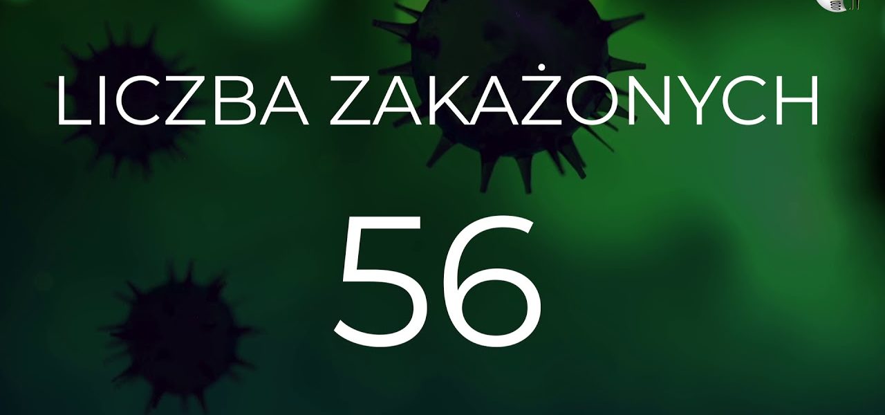 RAPORT DZIENNY #koronawirus 29/03/2020 woj. warm.-maz.