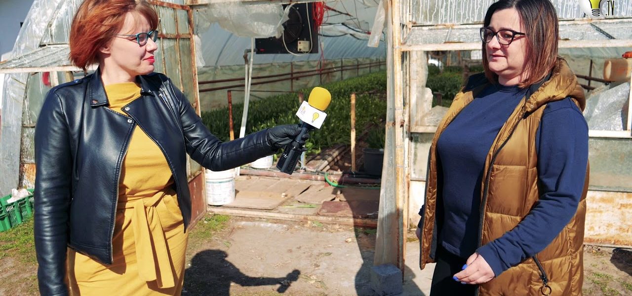 PŁYNIEMY JEDNĄ ŁÓDKĄ: TULIPAN NA WYNOS