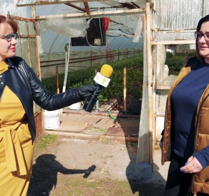 PŁYNIEMY JEDNĄ ŁÓDKĄ: TULIPAN NA WYNOS