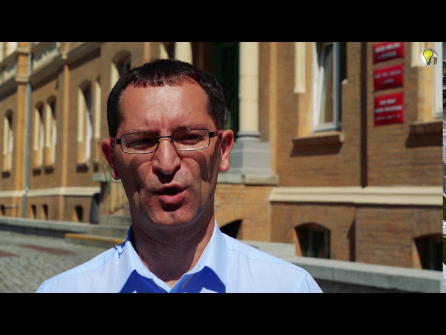 POSPRZĄTAJ PO SWOIM PSIE