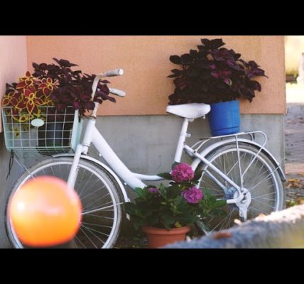 Osiedla Morąg - Kolonia warszawska