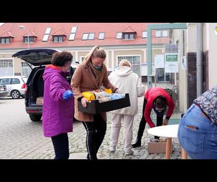 ZBIÓRKA DLA PSA I KOTA