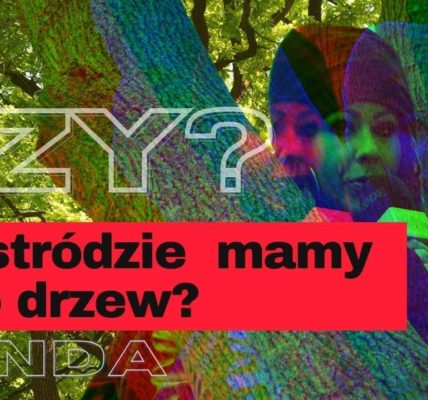 CZY W OSTRÓDZIE MAMY DUŻO DRZEW? SONDA