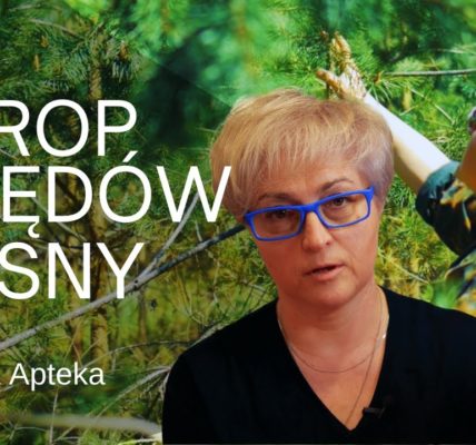 Czy wiesz jak zrobić syrop z pędów sosny? Pokochaj swój las. #2