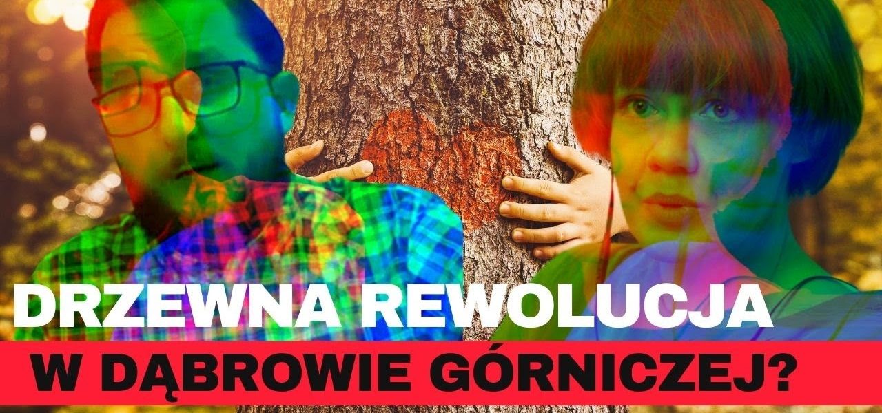 DRZEWNA REWOLUCJA W DĄBROWIE GÓRNICZEJ?