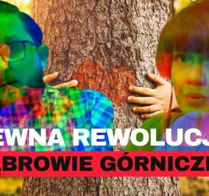 DRZEWNA REWOLUCJA W DĄBROWIE GÓRNICZEJ?