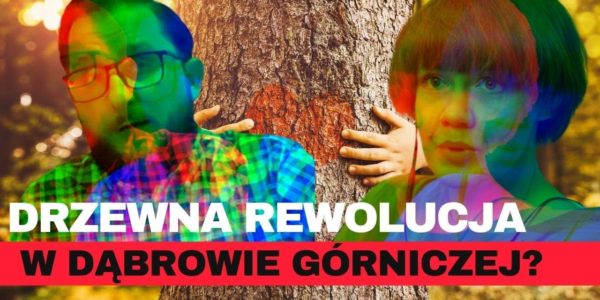 DRZEWNA REWOLUCJA W DĄBROWIE GÓRNICZEJ?