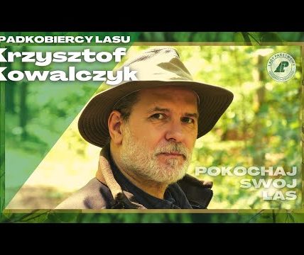 Pokochaj swój las. #1 Czym dla ciebie jest las?