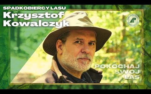 Pokochaj swój las. #1 Czym dla ciebie jest las?