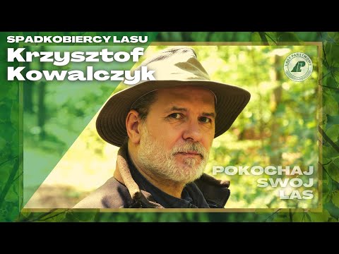 Pokochaj swój las. #1 Czym dla ciebie jest las?