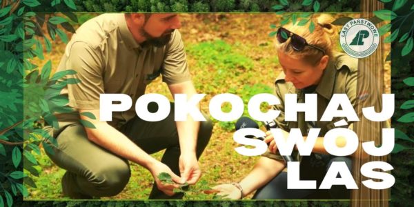 POKOCHAJ SWÓJ LAS