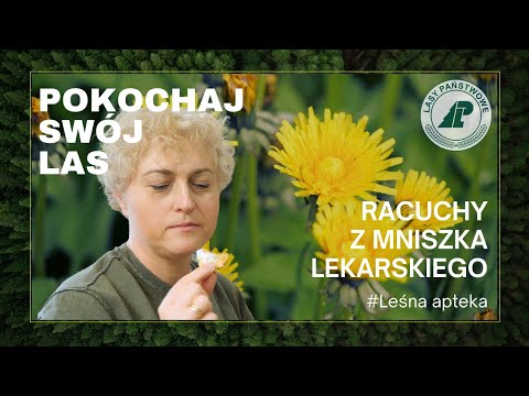 Jak zrobić racuchy z mniszka lekarskiego? #Leśna apteka. Pokochaj swój las #5