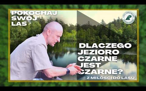 Dlaczego jezioro Czarne jest czarne