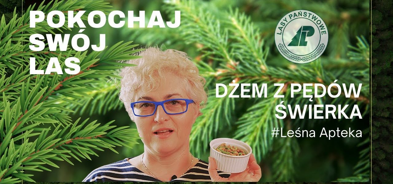 Jak zrobić dżem z pędów świerka? #Leśna apteka. Pokochaj swój las #4