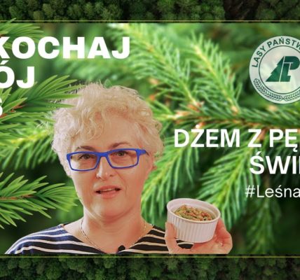 Jak zrobić dżem z pędów świerka? #Leśna apteka. Pokochaj swój las #4