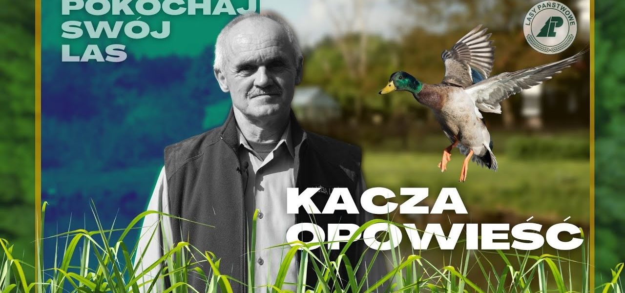 Pokochaj swój las - #3 Leśne Tajemnice - Kacza Opowieść
