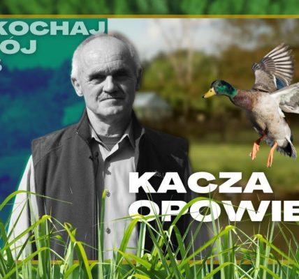 Pokochaj swój las - #3 Leśne Tajemnice - Kacza Opowieść