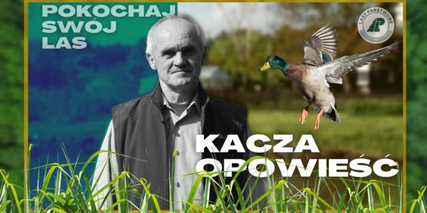Pokochaj swój las - #3 Leśne Tajemnice - Kacza Opowieść