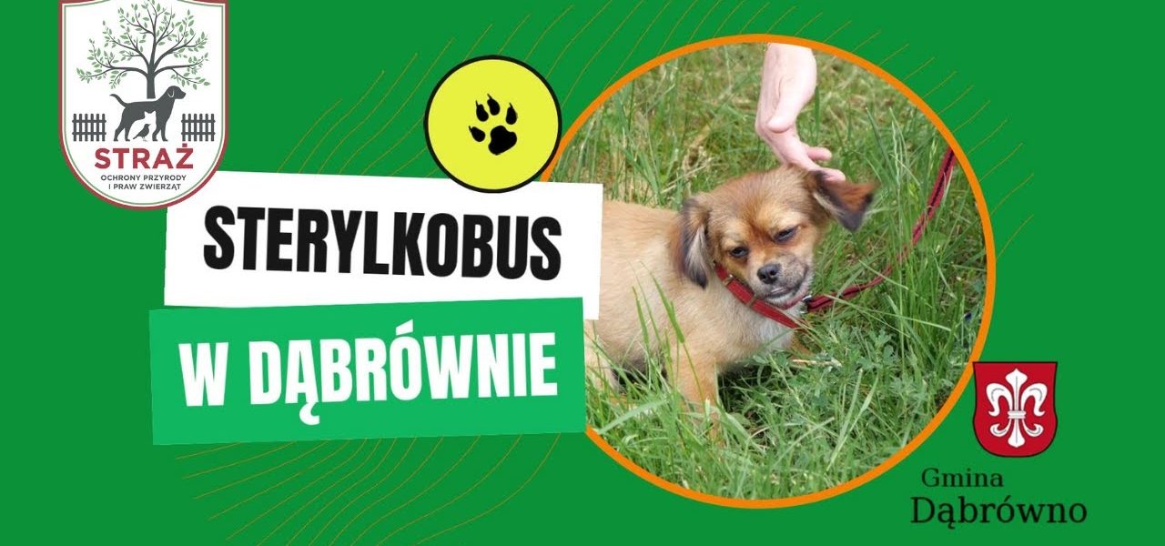 STERYLKOBUS W DĄBRÓWNIE