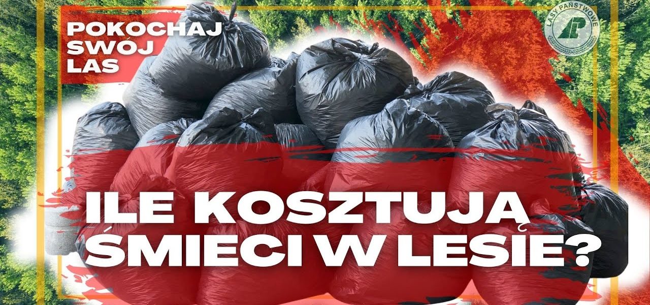 20 MILIONÓW złotych rocznie - tyle NAS kosztuję sprzątanie LASÓW. Pokochaj swój las #12