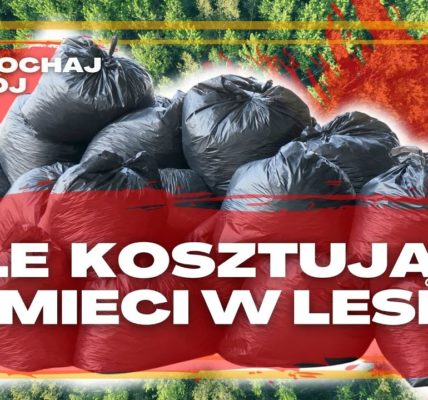 20 MILIONÓW złotych rocznie - tyle NAS kosztuję sprzątanie LASÓW. Pokochaj swój las #12