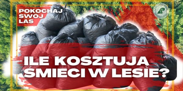 20 MILIONÓW złotych rocznie - tyle NAS kosztuję sprzątanie LASÓW. Pokochaj swój las #12