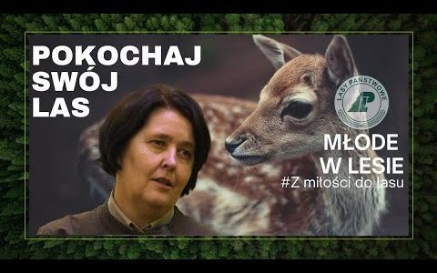 Młode w lesie. Pokochaj swój las #8