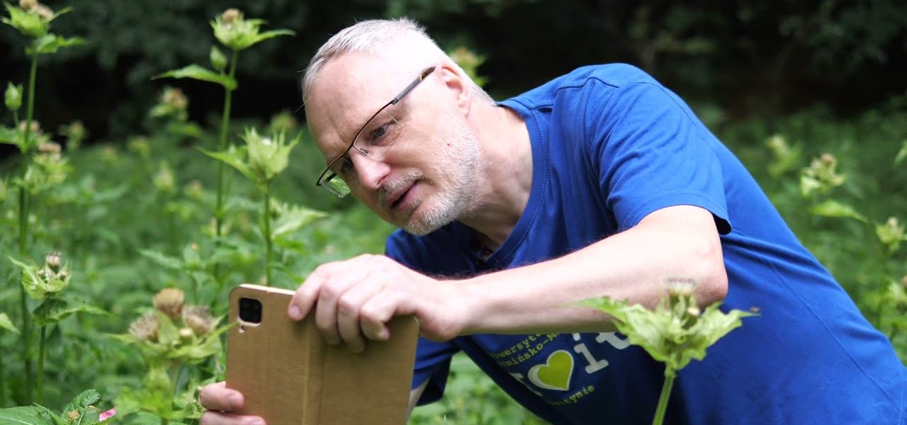 Łąki pośród lasu