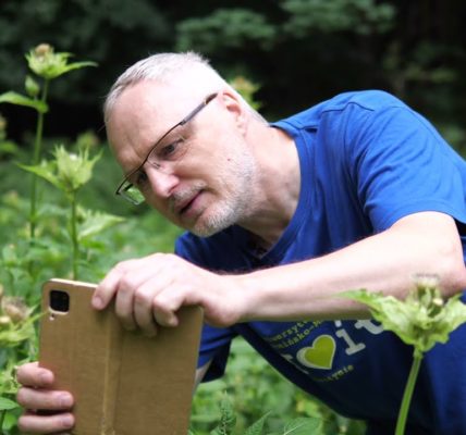 Łąki pośród lasu