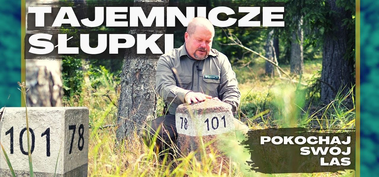 TAJEMNICA ROZWIĄZANA!  Już WIEMY skąd się wzięły KAMIENNE SŁUPKI w STARYCH JABŁONKACH.