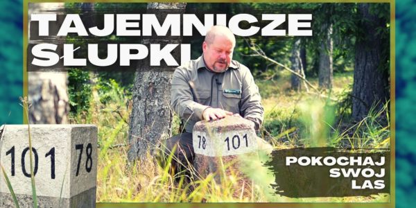 TAJEMNICA ROZWIĄZANA! Już WIEMY skąd się wzięły KAMIENNE SŁUPKI w STARYCH JABŁONKACH.