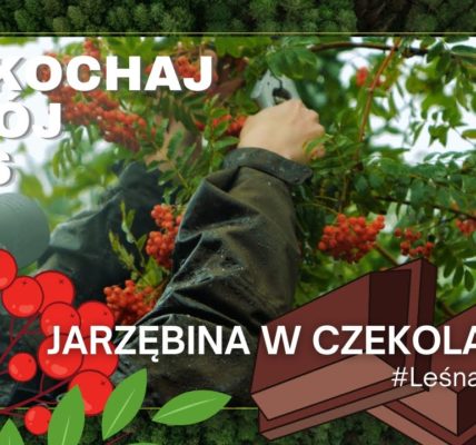 Nie uwierzysz, że JARZĘBINĘ MOŻNA ZJEŚĆ! NAJELPIEJ smakuje w CZEKOLADZIE. Kucharze są w szoku #24