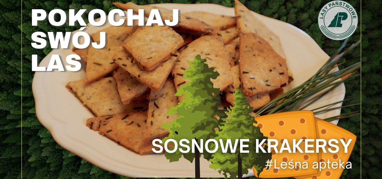 Jak zrobić KRAKRESY z igieł SOSNY? Szybki przepis i dawka wiedzy nt. sosny #LeśnaApteka