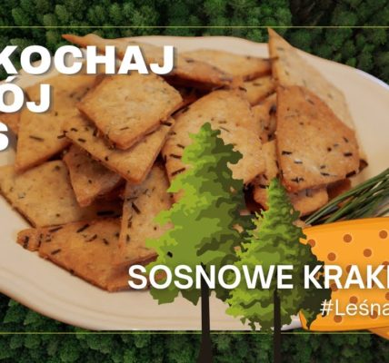 Jak zrobić KRAKRESY z igieł SOSNY? Szybki przepis i dawka wiedzy nt. sosny #LeśnaApteka