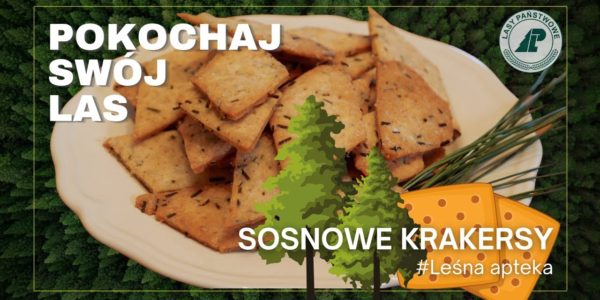 Jak zrobić KRAKRESY z igieł SOSNY? Szybki przepis i dawka wiedzy nt. sosny #LeśnaApteka