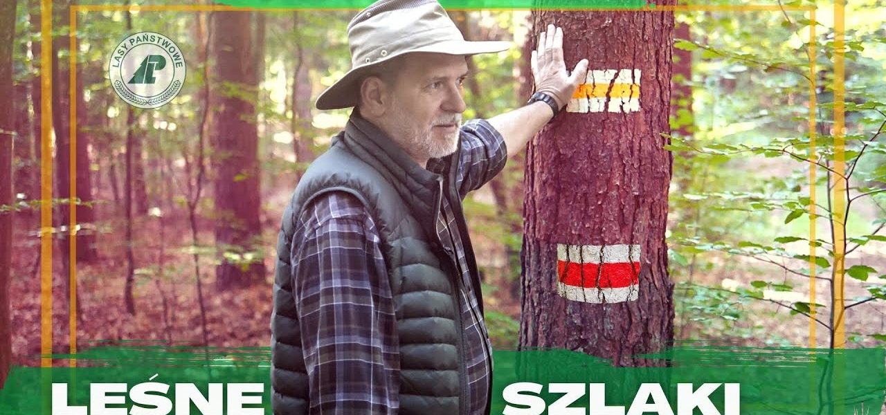 Czy wiesz KTO wyznacza SZLAKI W LESIE? Jak powstają? Kto je naprawia? I jak nie ZGUBIĆ SIĘ W LESIE?