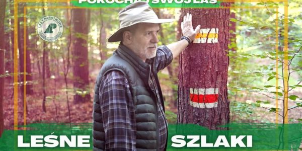 Czy wiesz KTO wyznacza SZLAKI W LESIE? Jak powstają? Kto je naprawia? I jak nie ZGUBIĆ SIĘ W LESIE?
