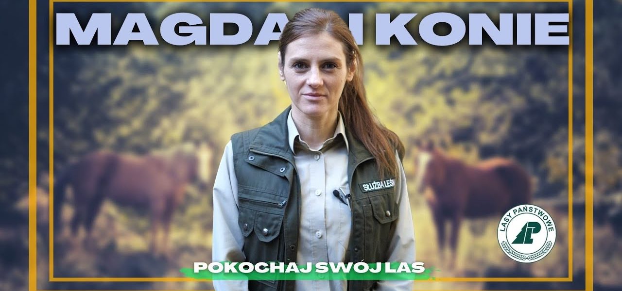 Czy można jeździć po LESIE KONNO? CO KONIE robią W LESIE? Jak KONIE wpływają na OCHRONĘ LASU?