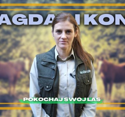 Czy można jeździć po LESIE KONNO? CO KONIE robią W LESIE? Jak KONIE wpływają na OCHRONĘ LASU?