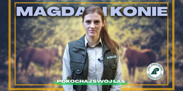 Czy można jeździć po LESIE KONNO? CO KONIE robią W LESIE? Jak KONIE wpływają na OCHRONĘ LASU?