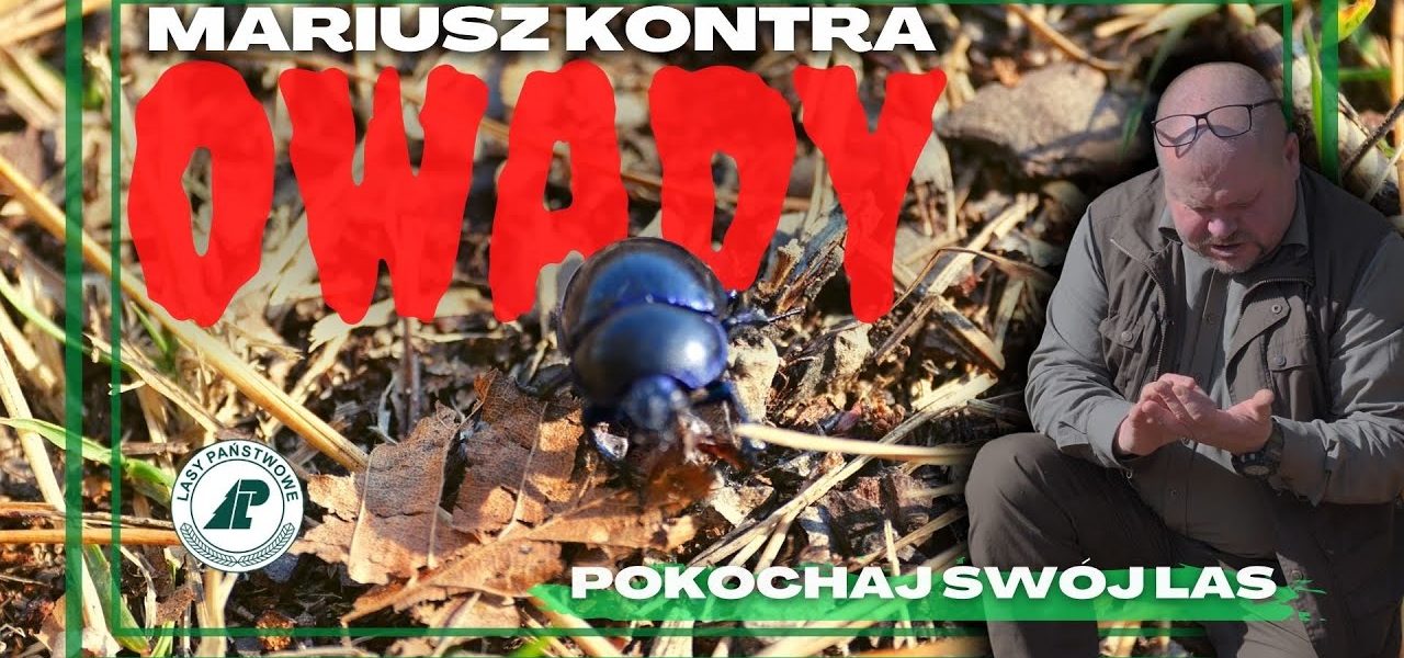 Czy wiesz, że na jednego człowieka przypada 250 mln owadów? Dziś starcie Mariusz vs. Owady #35