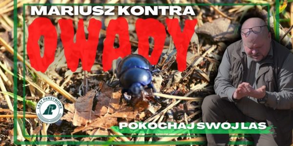 Czy wiesz, że na jednego człowieka przypada 250 mln owadów? Dziś starcie Mariusz vs. Owady #35
