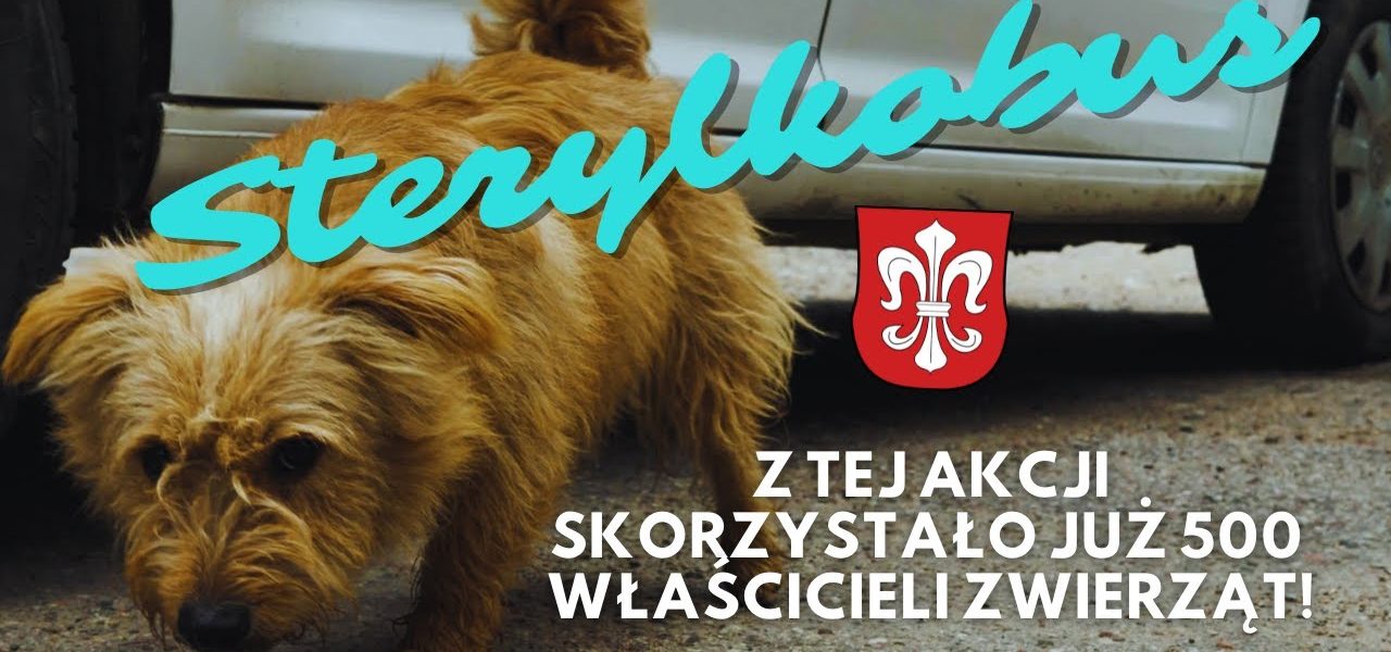 Co trzeba zrobić by wyeliminować BEZDOMNOŚĆ PSÓW I KOTÓW? Bezpłatna KASTRACJA I STERYLIZACJA NA WSI