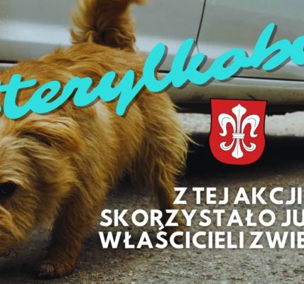 Co trzeba zrobić by wyeliminować BEZDOMNOŚĆ PSÓW I KOTÓW?  Bezpłatna KASTRACJA I STERYLIZACJA NA WSI