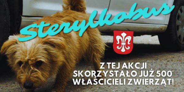 Co trzeba zrobić by wyeliminować BEZDOMNOŚĆ PSÓW I KOTÓW? Bezpłatna KASTRACJA I STERYLIZACJA NA WSI