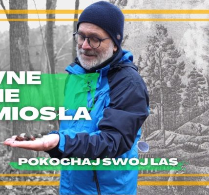 Kim byli SMOLARZE, BUDNICY, WĘGLARZE? Czy znasz DAWNE LEŚNE RZEMIOSŁA? Jak żyli LUDZIE LASU? #42