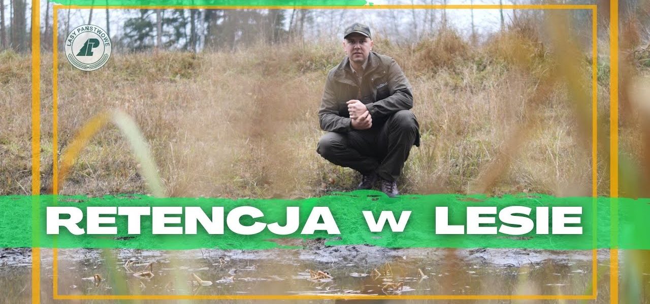 Jak zatrzymać WODĘ w lesie? #45